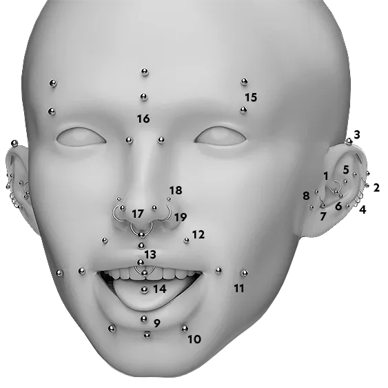 Reference photograph showing piercings on the head.